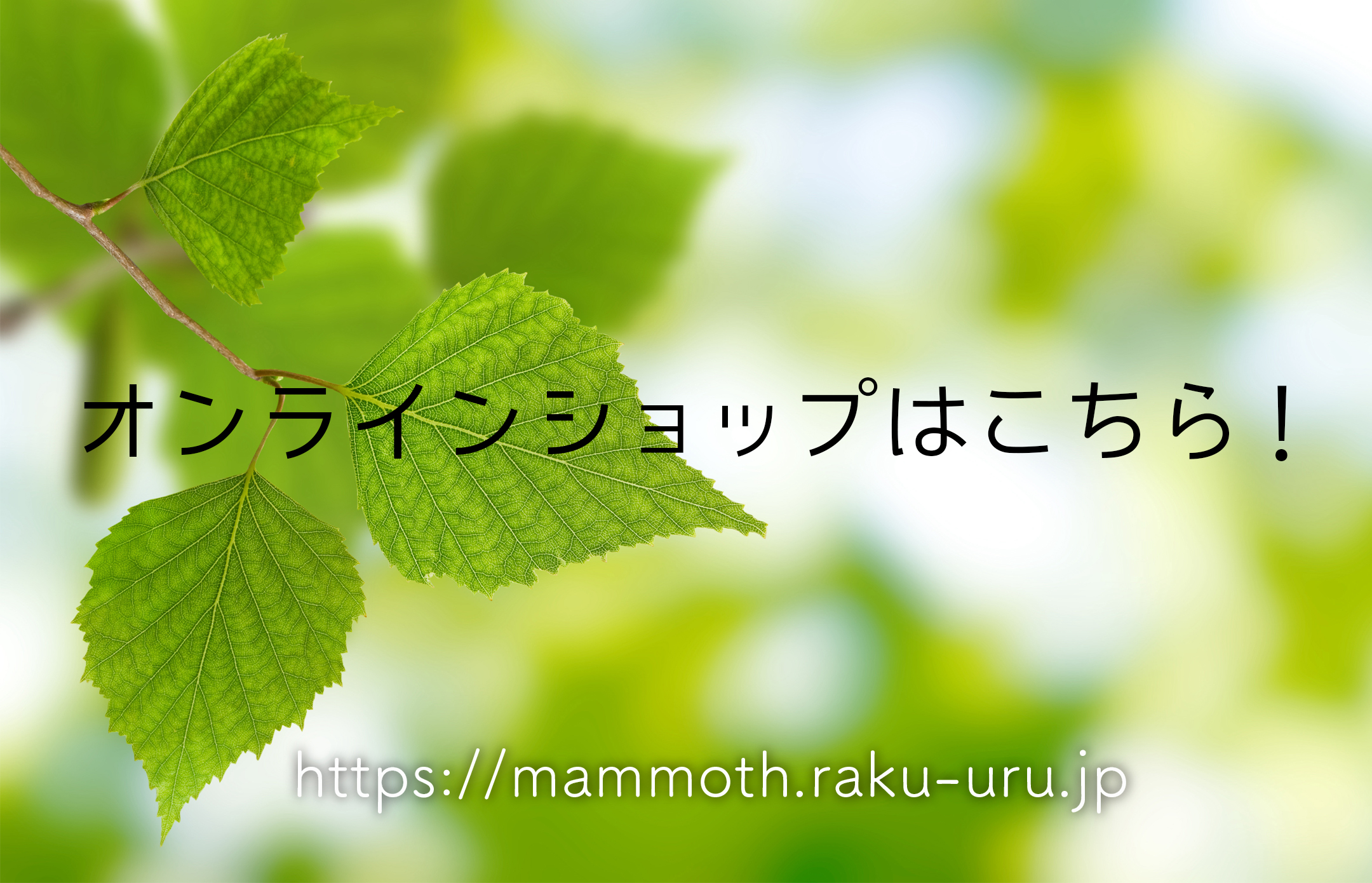 オンラインショップ