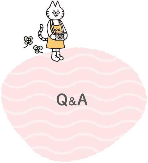 Q&A
