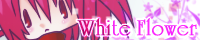 White Flower