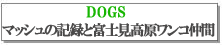DOGS