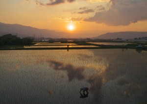 季節賞