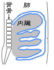 チェック 腹水 セルフ 腹水を治すための7つの条件