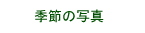 �G�߂̎ʐ^