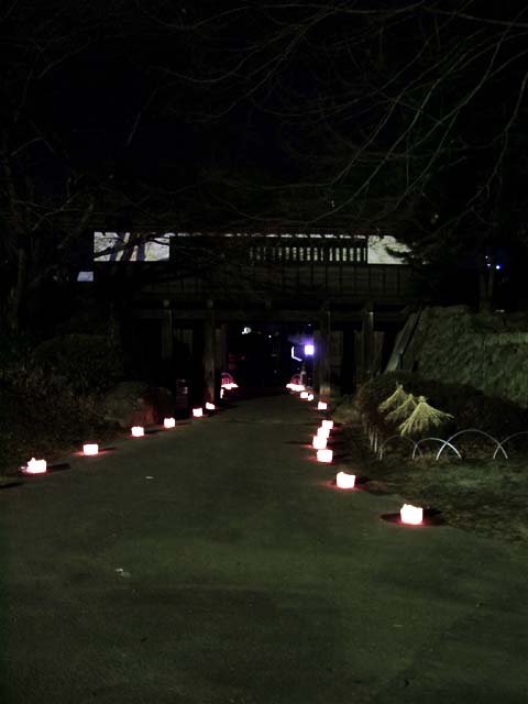平成十六年のアイスキャンドルです。高島城の天守閣付近です。