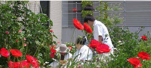 学校案内