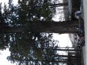 20080427_pics/s20080427-011.jpg