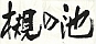 槻の池