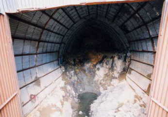 ���݂̍̐Ώ�