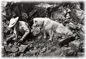 ����G�΍̐΍��4