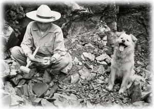 ����G�΍̐΍��3