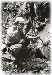 ����G�΍̐΍��1