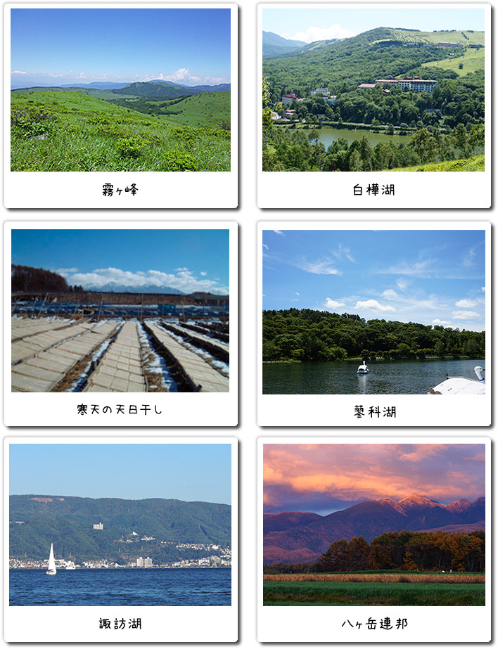 信州の景色