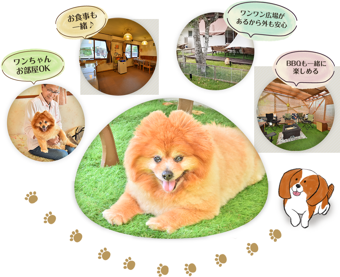 ペット宿泊無料