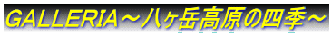 f`kkdqh``x̎lG`
