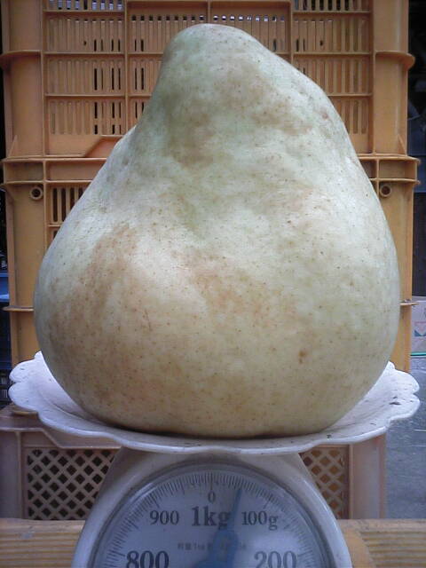 1050ｇ
