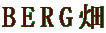 BERG