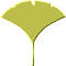 DȖ