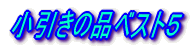 �������̕i�x�X�g�T