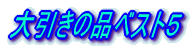 ������̕i�x�X�g�T
