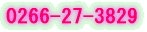 0266-27-3829 