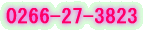 0266-27-3829 