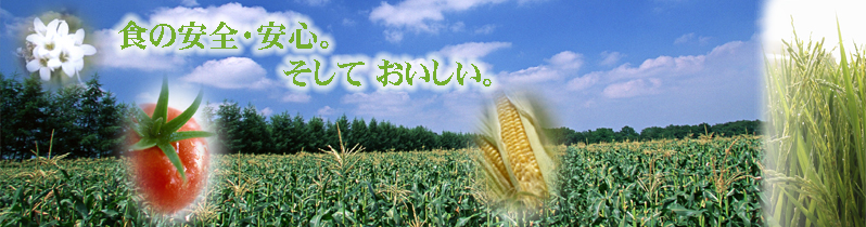 SȉƁBSȕ炵B