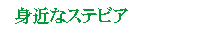 g߂ȃXerA