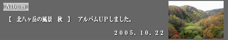 アルバムUPしました。