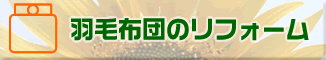 �H�ѕz�c�̃��t�H�[��
