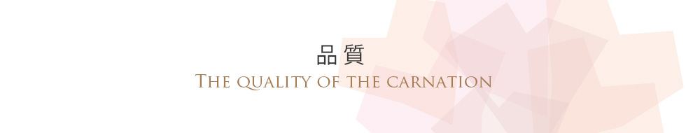 品質