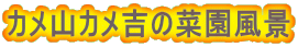 JRJg̍؉i