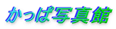 ώʐ^