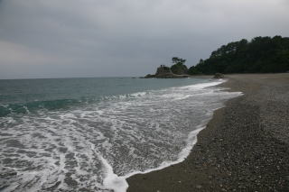 桂浜