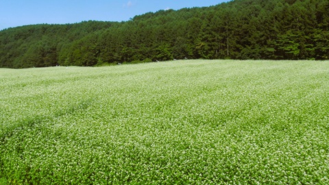 鉄山