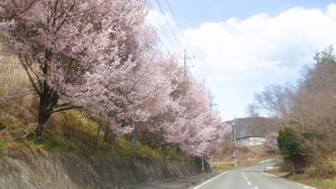 街からの帰り道　にて