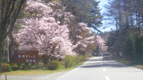 国道299　蓼科ビレッジ にて