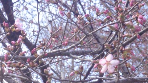 横谷観音駐車場 にて
