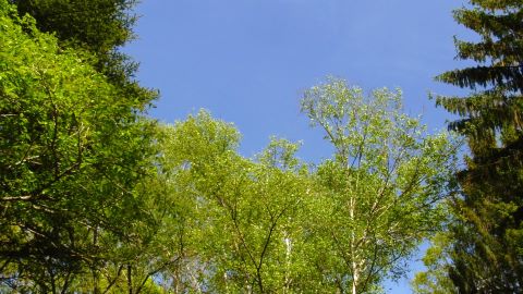 白樺湖 にて