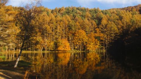 奥蓼科 御射鹿池