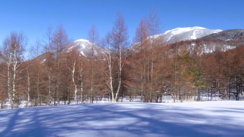 千駄刈の森 にて