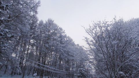 クライネの食堂 にて