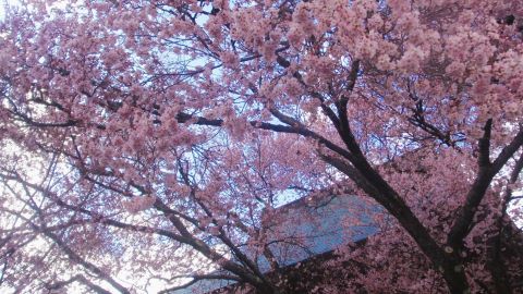 茅野市　福寿院にて