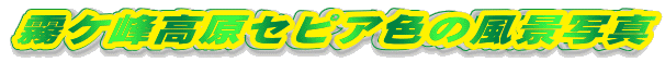 P􍂌ZsAF̕iʐ^
