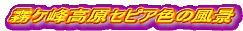 P􍂌ZsAF̕i