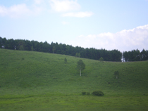 �r�̂����