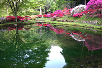 �팻����̃c�c�W