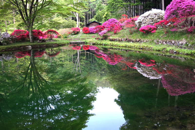 �팻����̃c�c�W