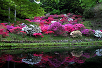 �팻����̃c�c�W