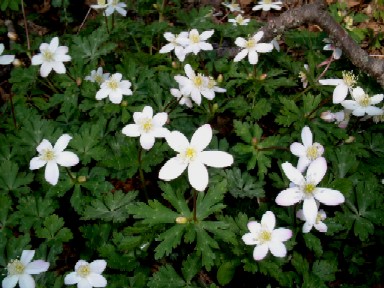 �j�����\�E