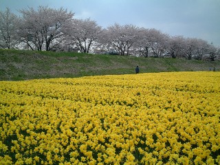 ���Ɛ���